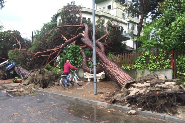 Il disastro dopo la tempesta