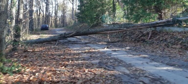 VERGATO: La situazione nella zona Prunarolo – Tolè