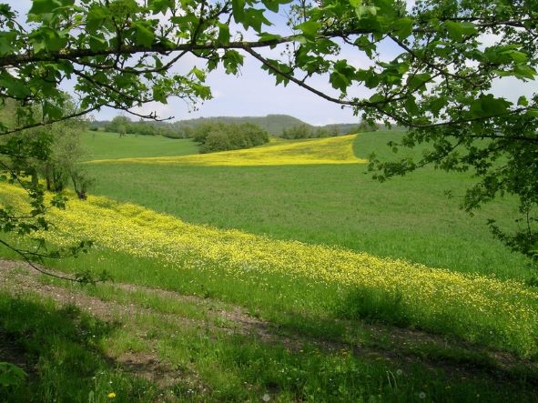 A Bologna nasce l’iniziativa “Coltiviamo il futuro” del Bio-distretto Appennino Bolognese