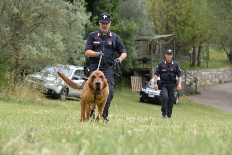 TOLE’ (BO) – Tentato omicidio: eseguito dai carabinieri un fermo di indiziato di delitto emesso dalla Procura di Bologna