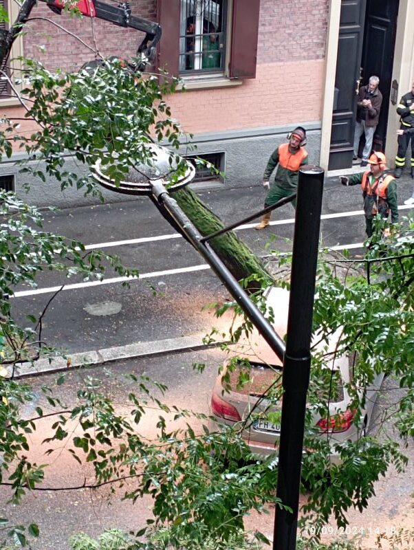 BOLOGNA: Manutenzione del verde