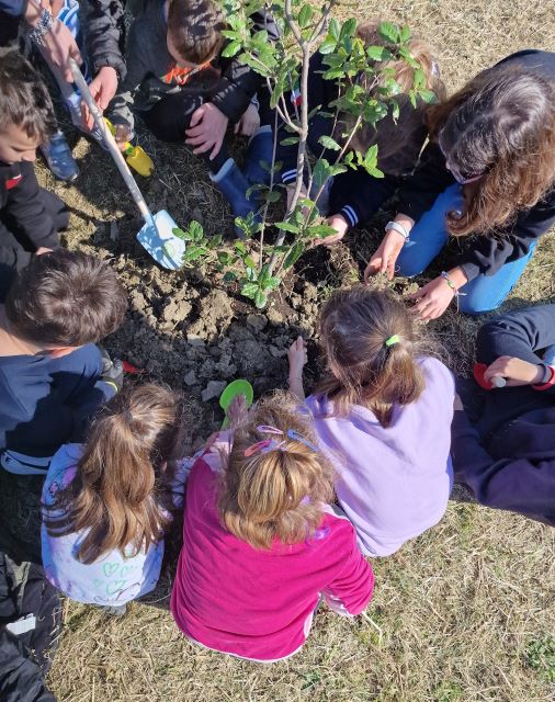 CASTEL MAGGIORE (BO): Festa degli Alberi: le scuole mettono a dimora 20 alberi